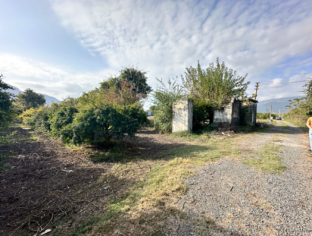 Zitrusgarten Zum Verkauf In Dalyan 7.014 M2