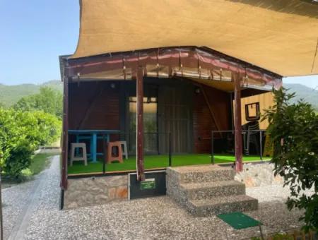 (Konak Doğa) Wöchentliche Tagesmiete Bungalow In Dalaman Karacaağaç