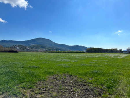 Dalaman Hürriyet Mahallesi 505 M2 0 2 Kat Zoned Land Is For Sale