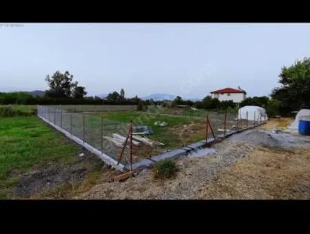 462M2 Bargain Field For Sale In Ortaca Yesilyurt