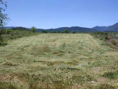 Our 10,480 M2 Field Is For Sale In Ortaca Mergenlı Neighborhood.