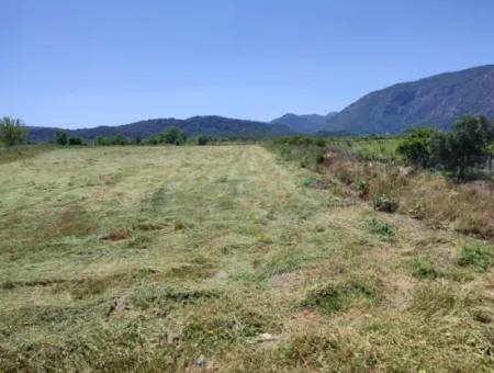 Our 10,480 M2 Field Is For Sale In Ortaca Mergenlı Neighborhood.