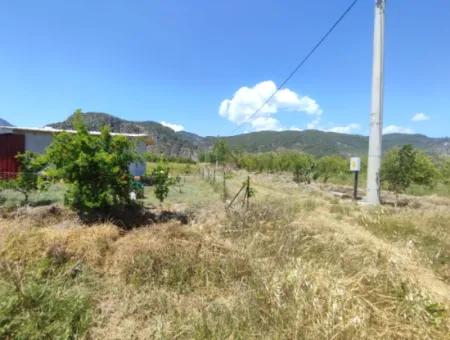 Our 10,480 M2 Field Is For Sale In Ortaca Mergenlı Neighborhood.