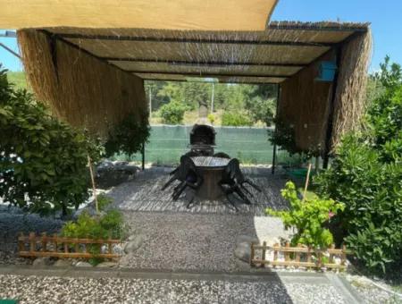 (Konak Doğa) Dalaman Karacaağaç Ta Günlük Haftalık Kiralık Bungalow